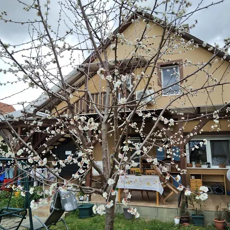 Holt-tisza Vendeghaz