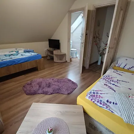 Holt-tisza Vendeghaz Szeged