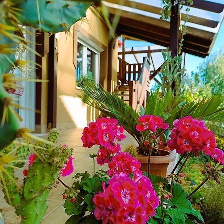 Holt-tisza Vendeghaz Szeged