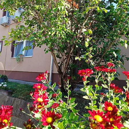 Holt-tisza Vendeghaz 3*