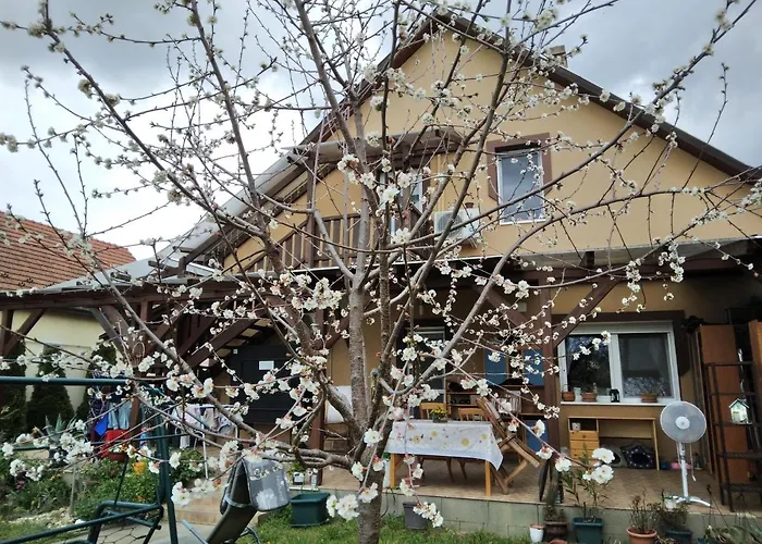 Holt-tisza Vendeghaz