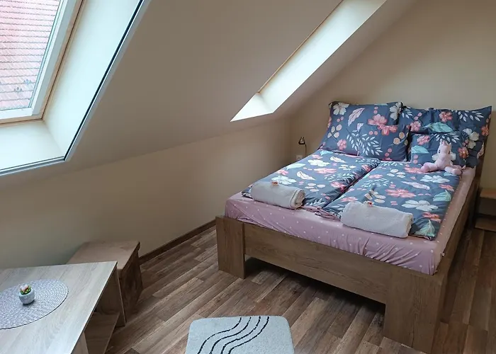 Holt-tisza Vendeghaz Guest house Szeged