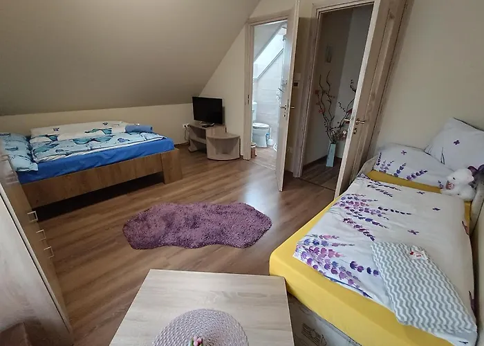 Holt-tisza Vendeghaz Szeged