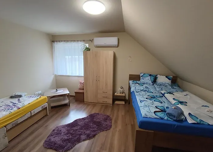 Guest house Holt-tisza Vendeghaz 3*