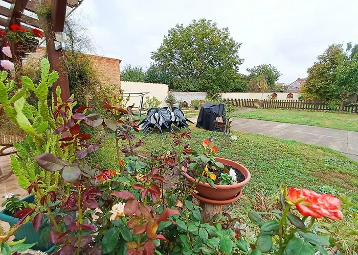 Guest house Holt-tisza Vendeghaz Szeged