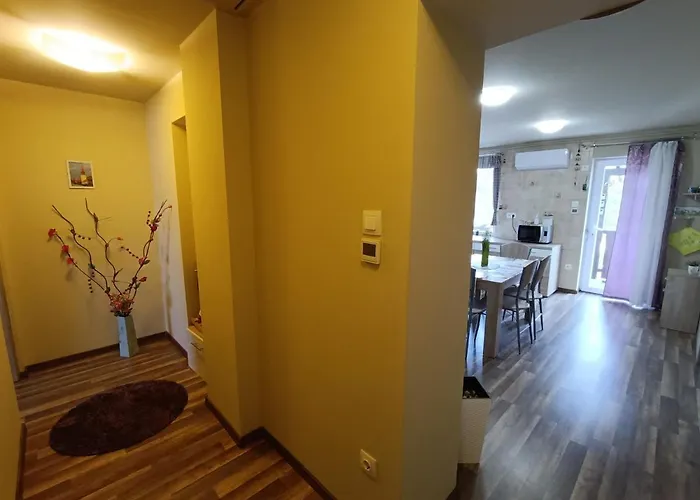 Holt-tisza Vendeghaz Szeged