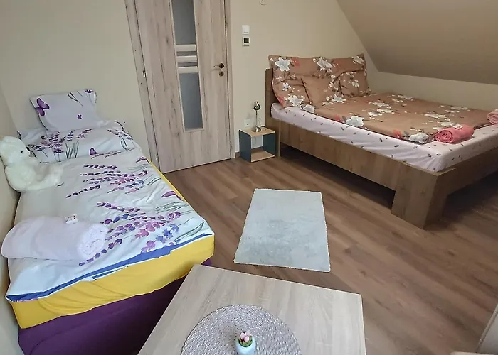 Holt-tisza Vendeghaz 3*