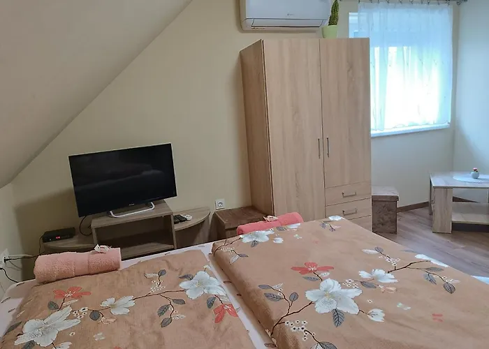 Guest house Holt-tisza Vendeghaz