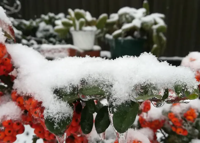 Holt-tisza Vendeghaz