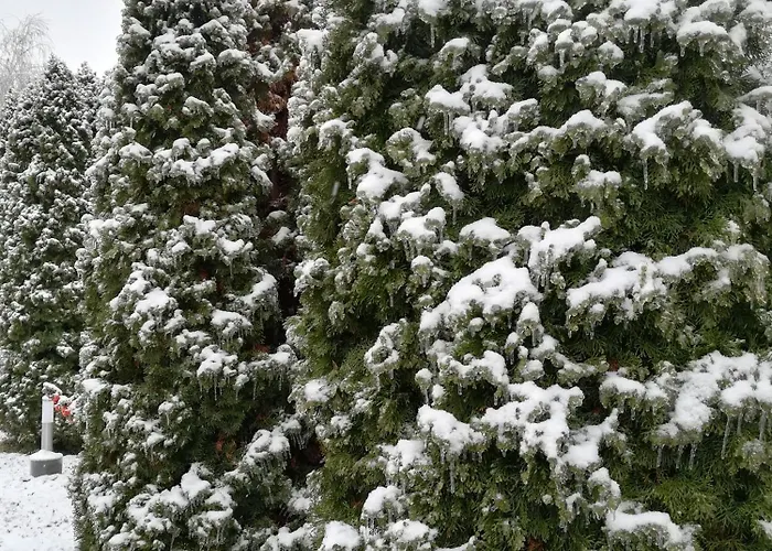 Holt-tisza Vendeghaz Szeged