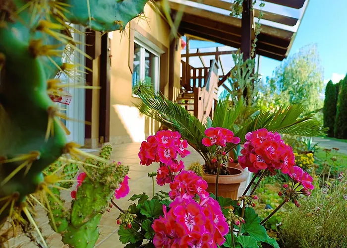 Holt-tisza Vendeghaz Szeged