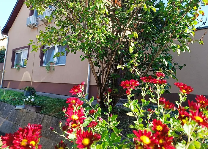 Holt-tisza Vendeghaz 3*